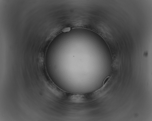 X0000091520179200708241657