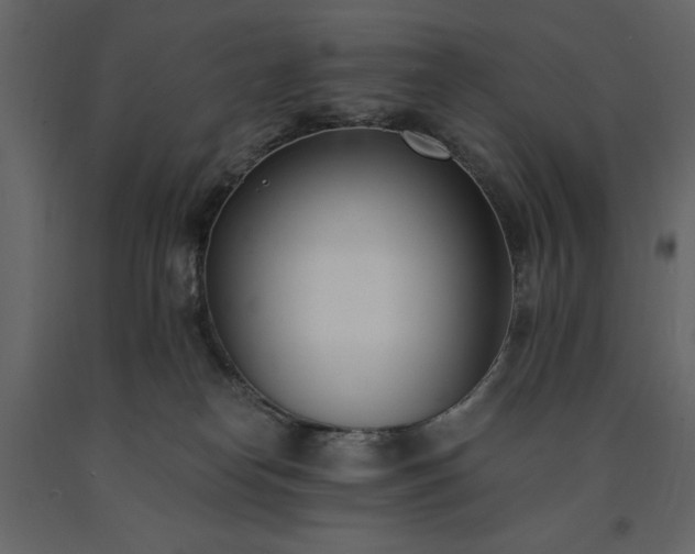 X0000091520182200708241657