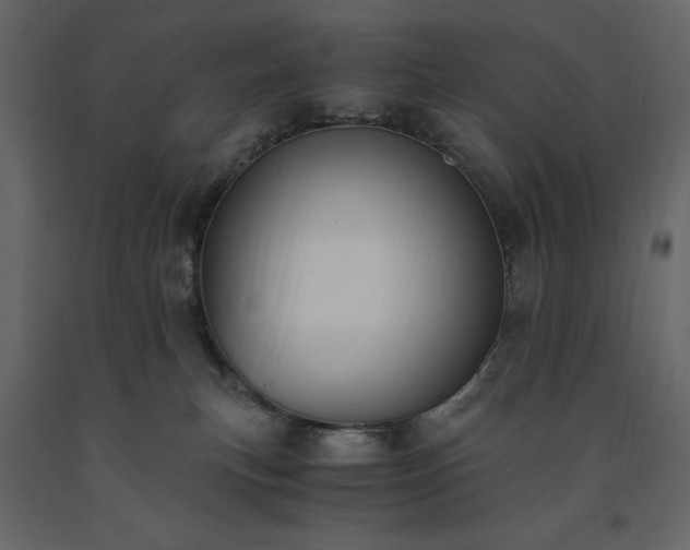 X0000091520183200708241657