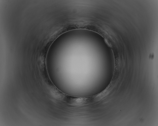 X0000091520184200708241657