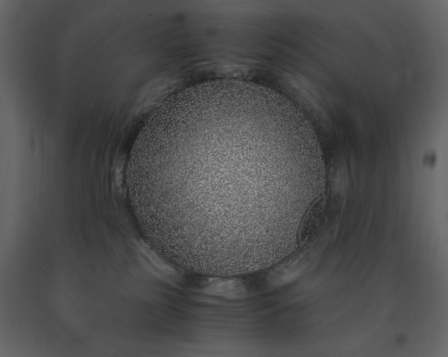X0000091520185200708241657