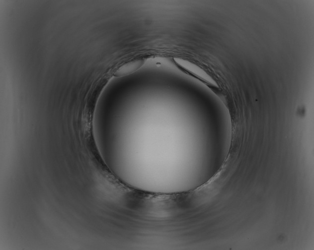 X0000091520186200708241658