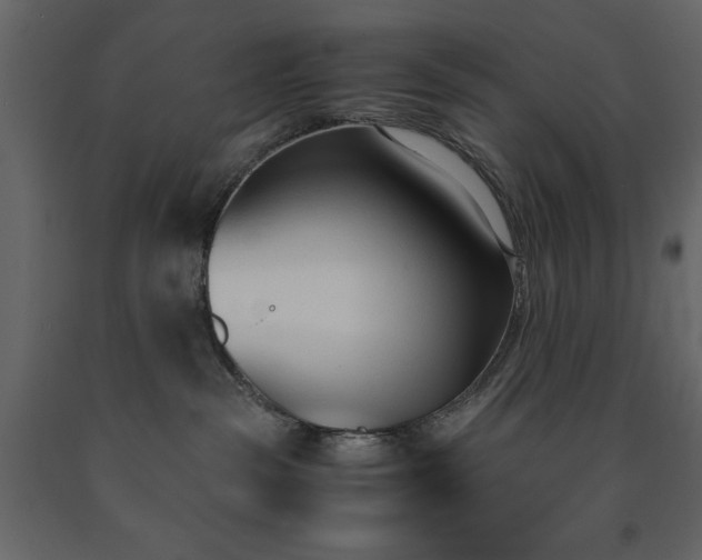 X0000091520189200708241658