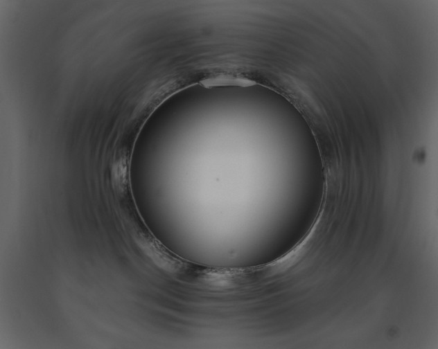 X0000091520190200708241658