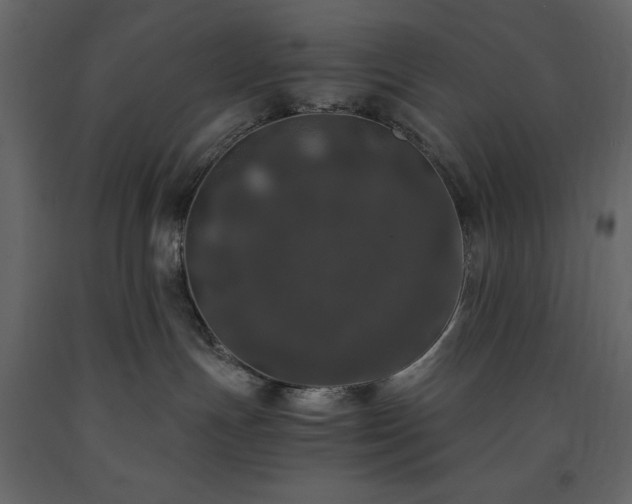 X0000091520191200708241658