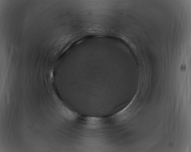 X0000091520192200708241658
