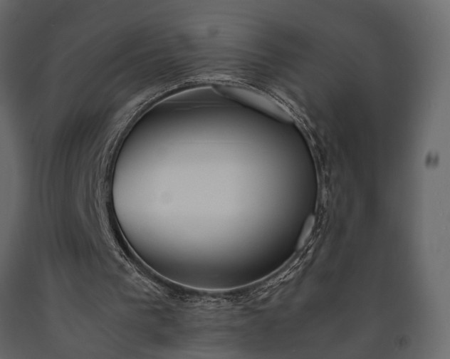 X0000091520193200708241657