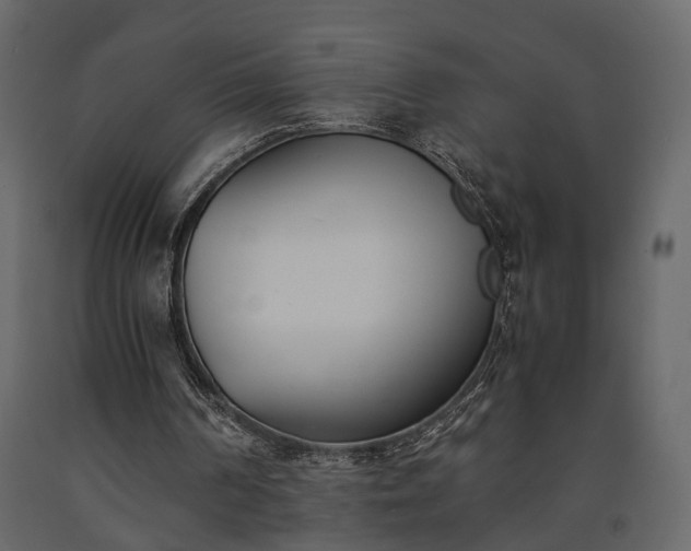X0000091520194200708241657