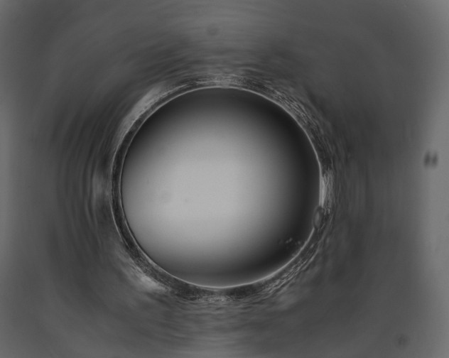 X0000091520195200708241657