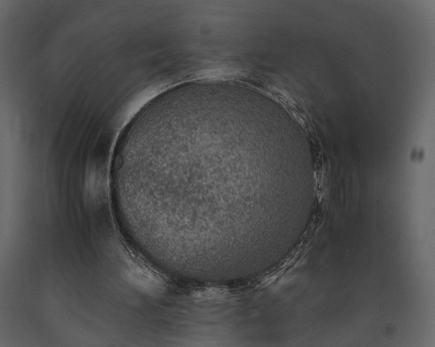 X0000091520196200708241657