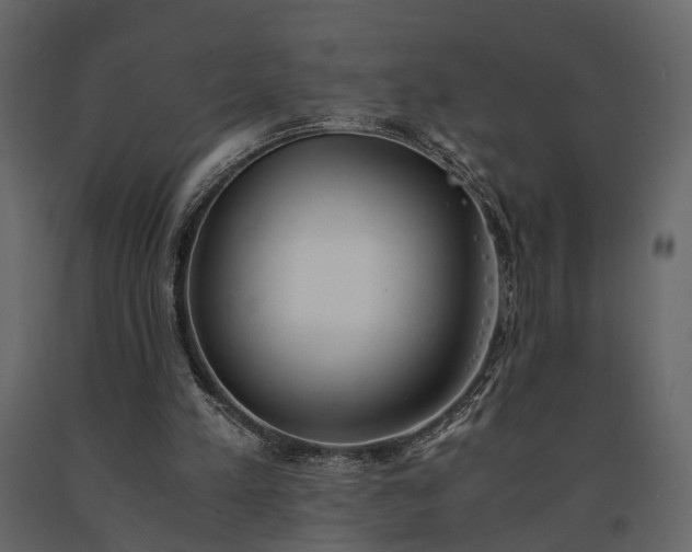 X0000091520197200708241657