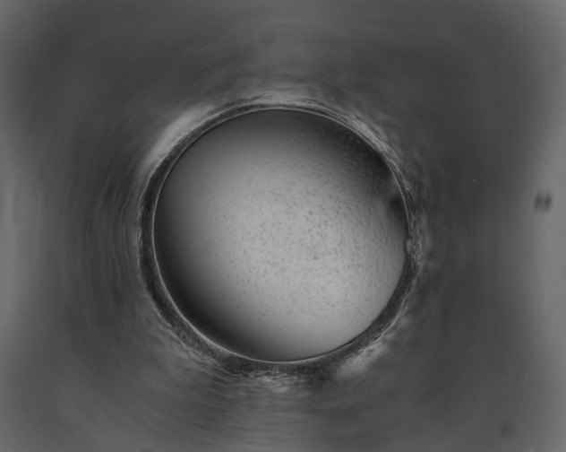 X0000091520199200708241657