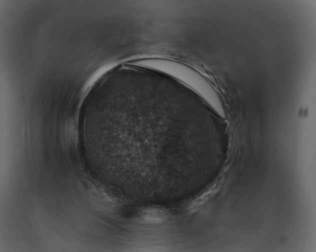 X0000091520200200708241657