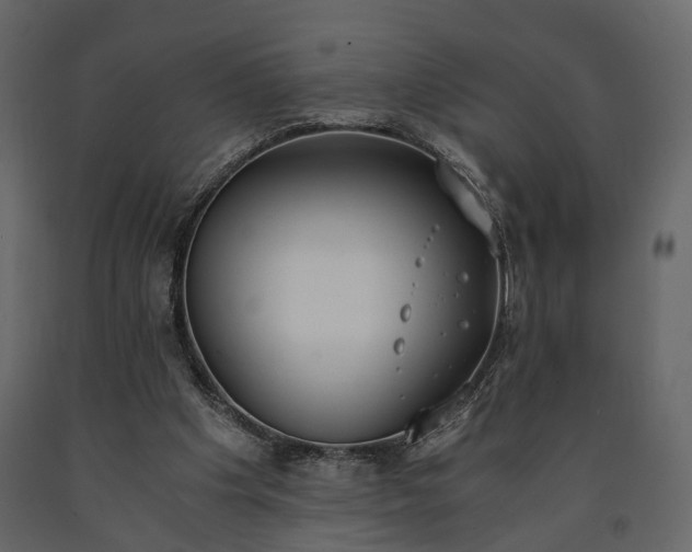 X0000091520201200708241657