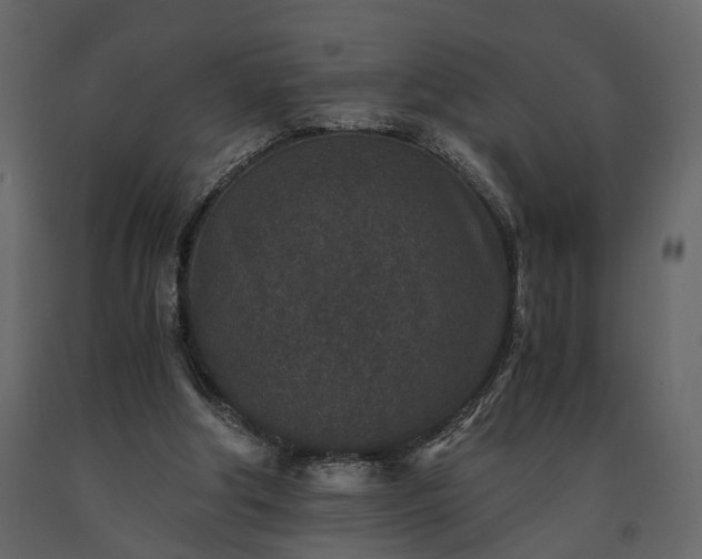 X0000091520202200708241657