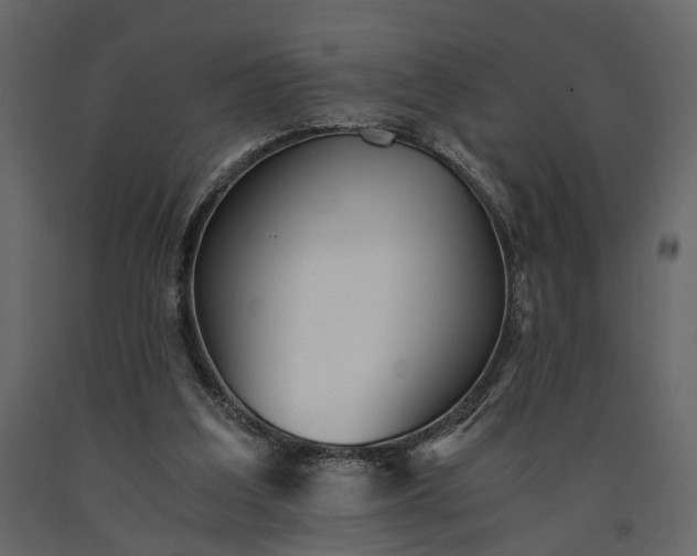 X0000091520203200708241657