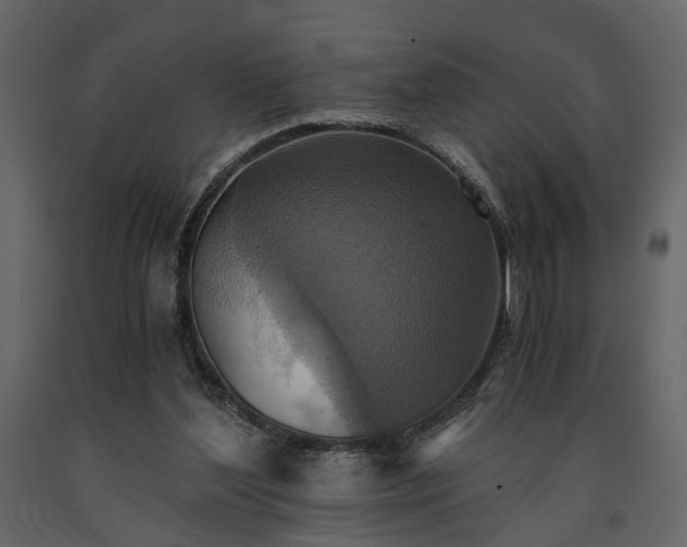 X0000091520204200708241657