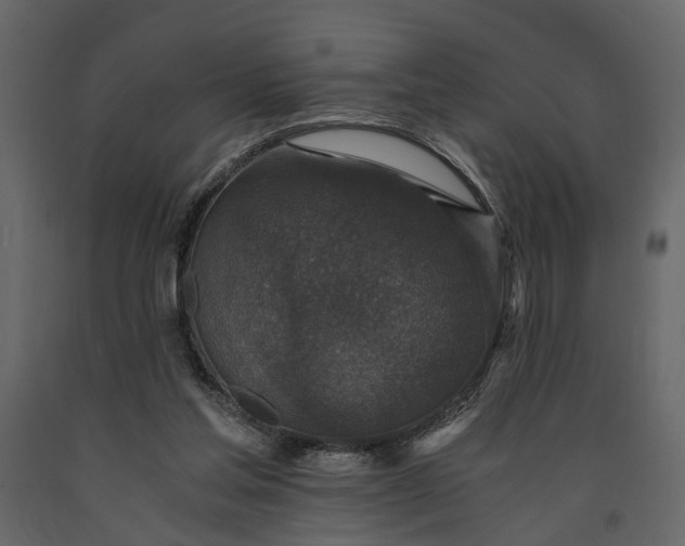 X0000091520205200708241657