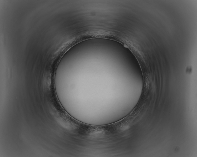 X0000091520206200708241656