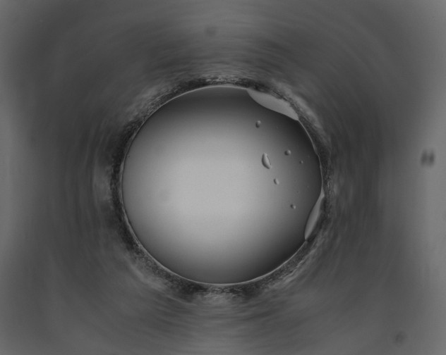 X0000091520209200708241656