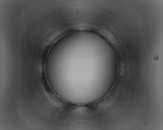 X0000091520210200708241656