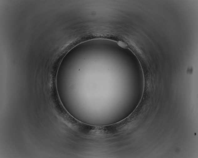 X0000091520211200708241656