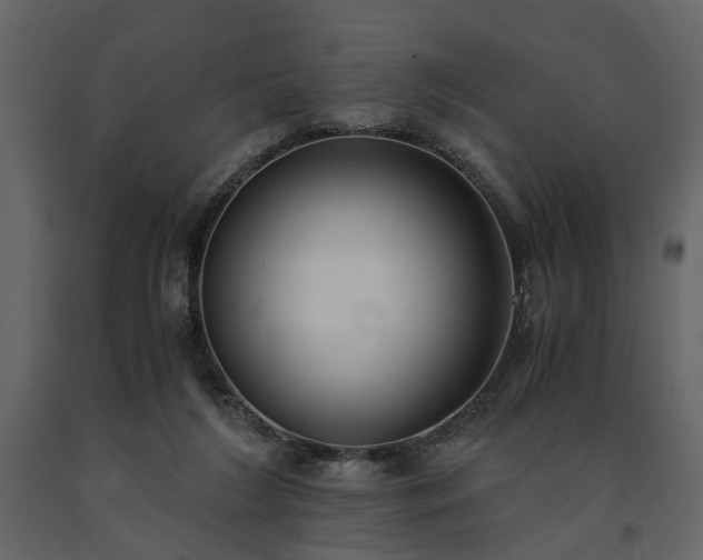 X0000091520212200708241656