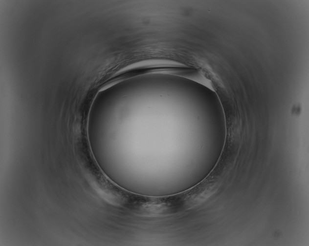 X0000091520213200708241656