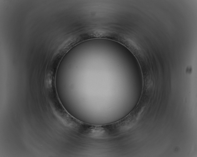 X0000091520214200708241656
