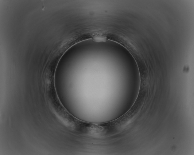 X0000091520215200708241656