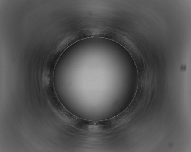 X0000091520216200708241656