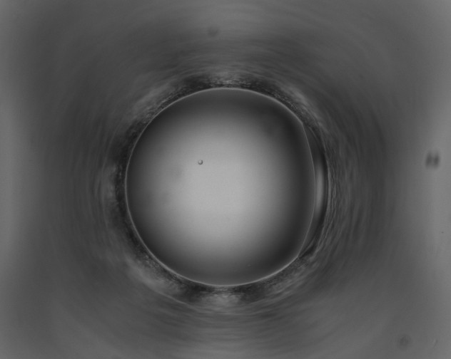 X0000091520217200708241656