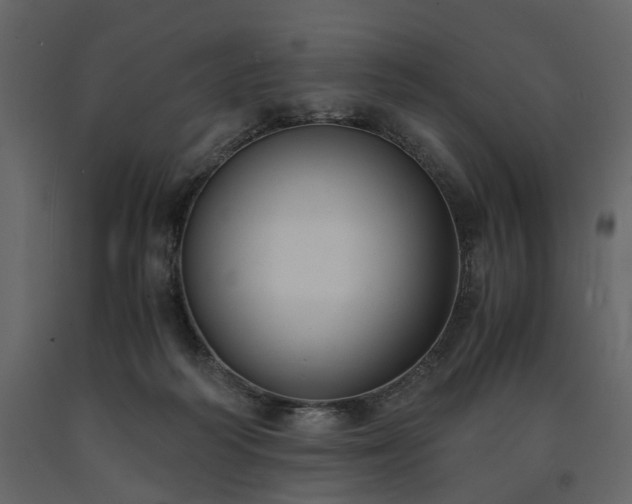 X0000091520218200708241656