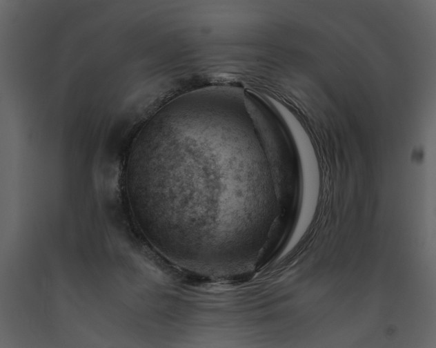 X0000091520219200708241656