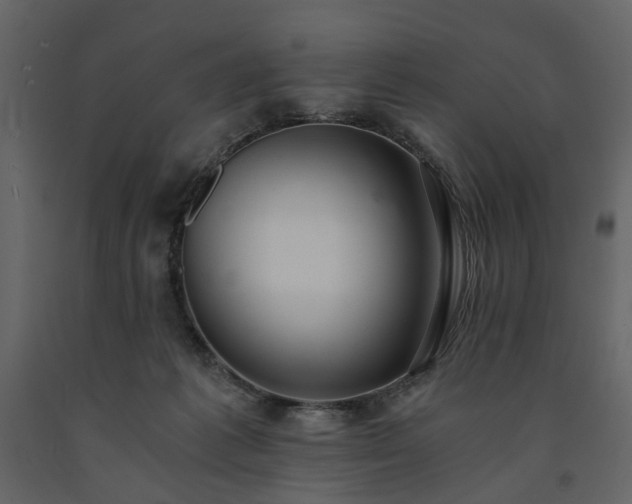 X0000091520221200708241656