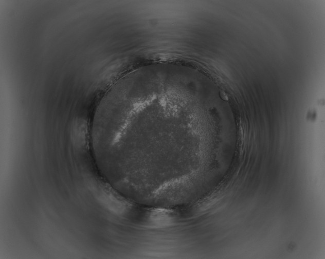 X0000091520222200708241656