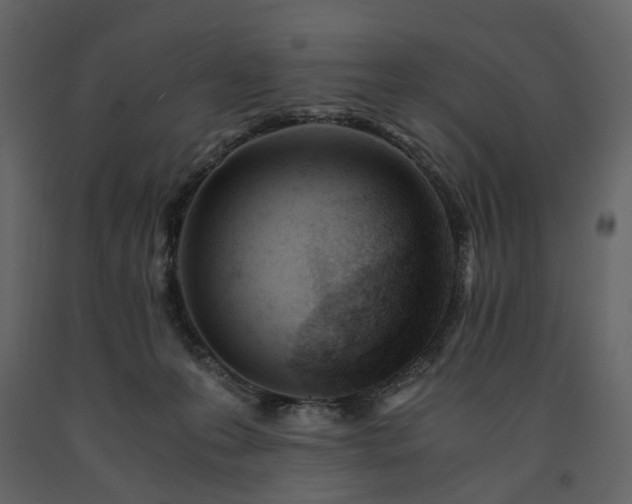 X0000091520223200708241656