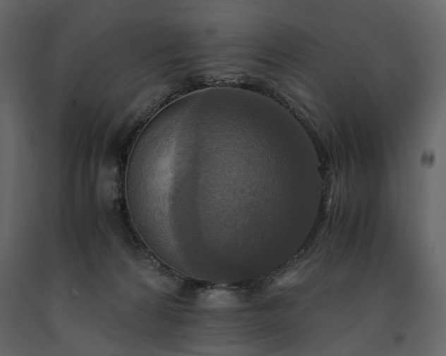 X0000091520224200708241656