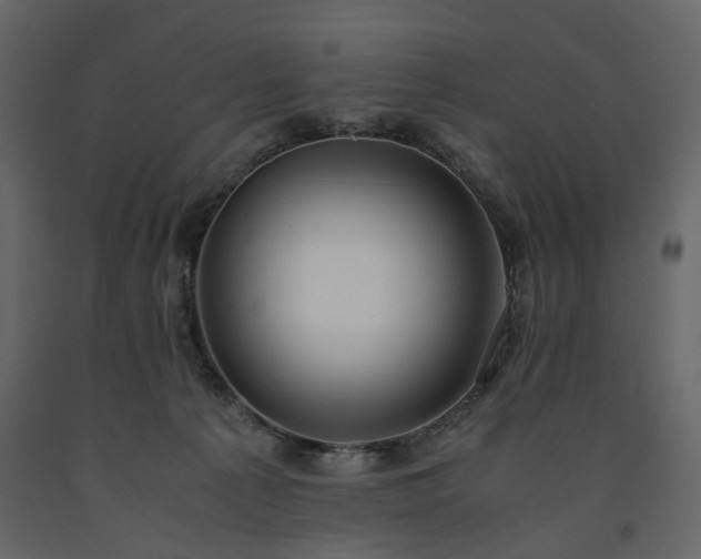 X0000091520225200708241656