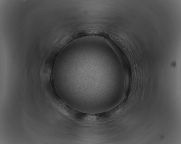 X0000091520227200708241656