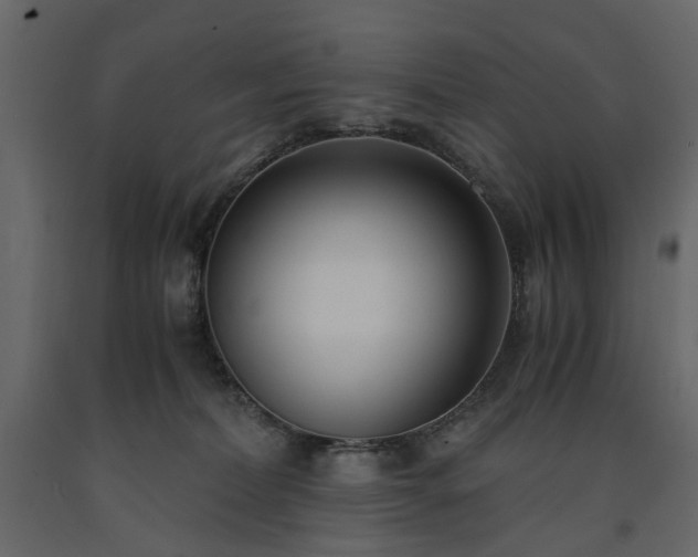 X0000091520228200708241656