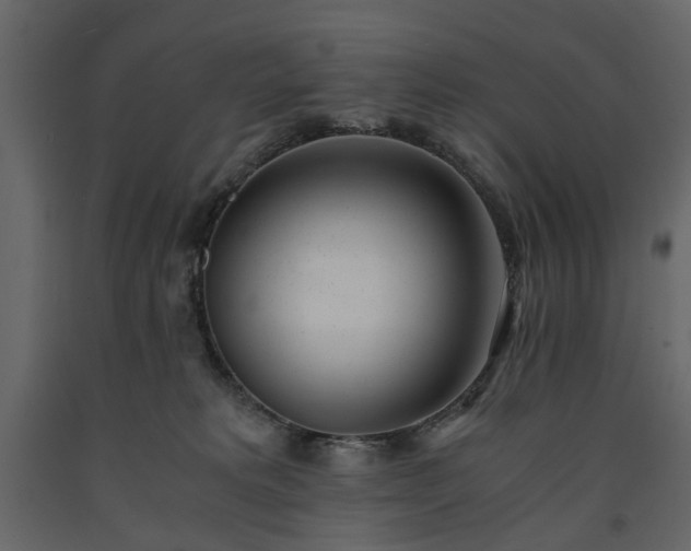 X0000091520229200708241656