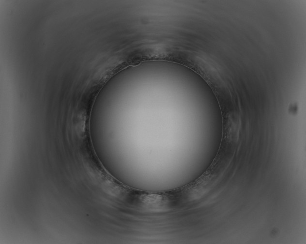 X0000091520230200708241656