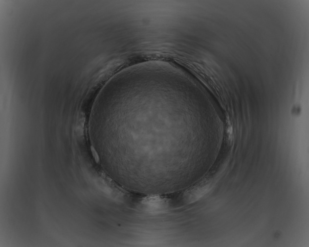 X0000091520231200708241656