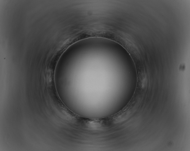 X0000091520232200708241656