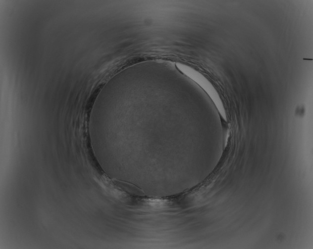 X0000091520233200708241656