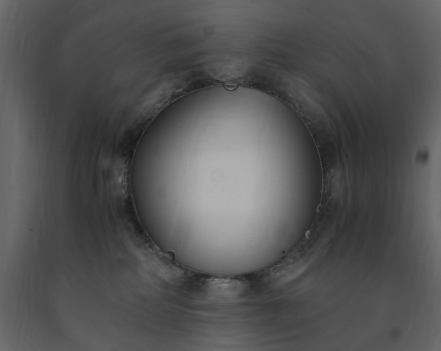 X0000091520234200708241656