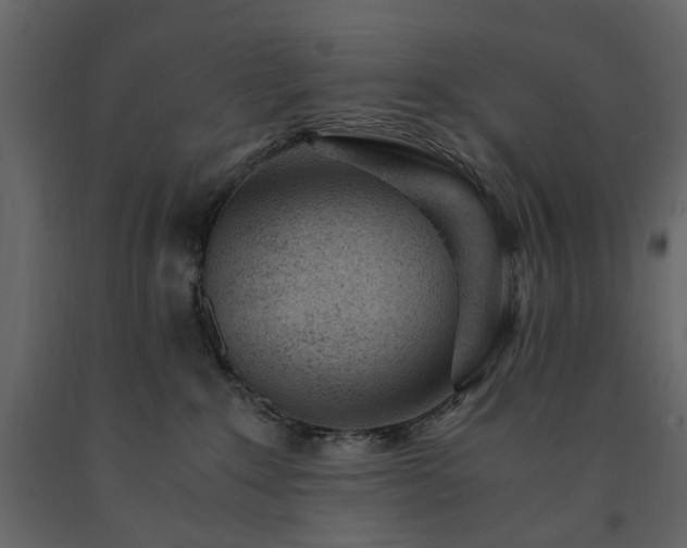 X0000091520235200708241656