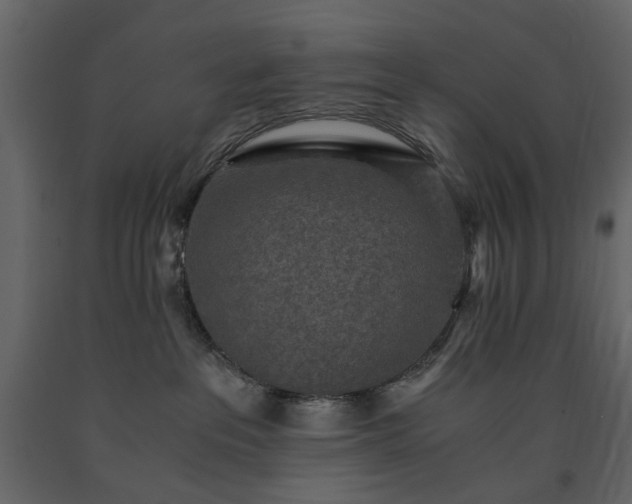 X0000091520237200708241656