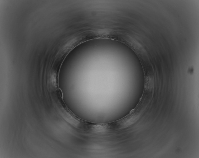 X0000091520238200708241656